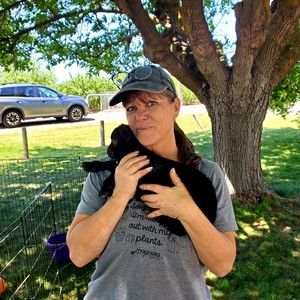 Meet your Posher, Posh